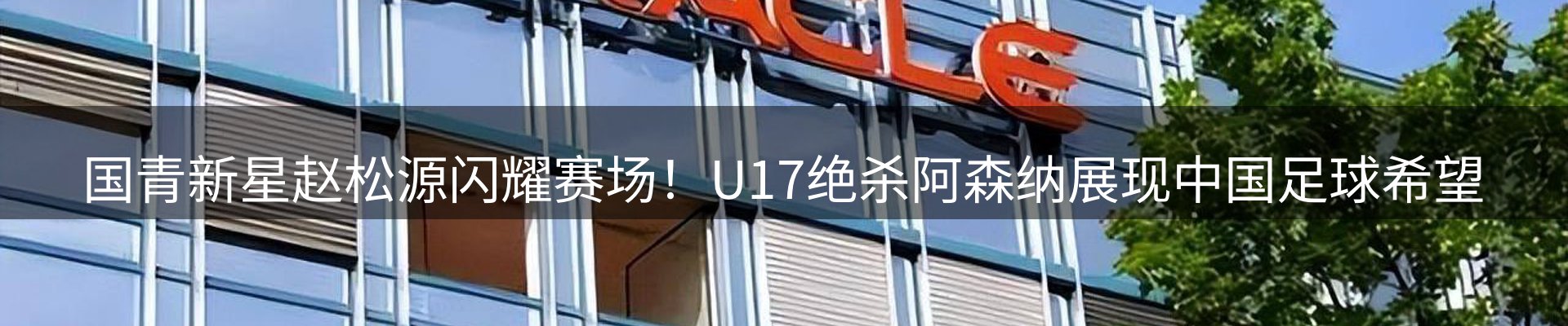 最新动态